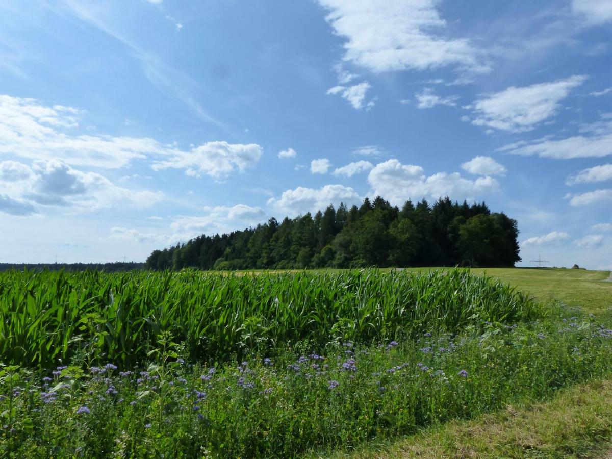 Landgasthaus Sonne Freudenstadt Exteriér fotografie